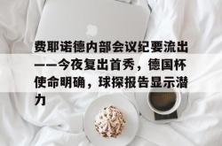 九游体育sports-费耶诺德内部会议纪要流出——今夜复出首秀，德国杯使命明确，球探报告显示潜力的简单介绍-九游体育sports